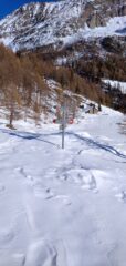 Alpe Vazzeda inferiore 