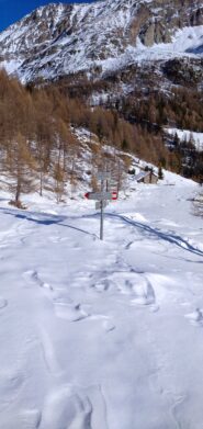 Alpe Vazzeda inferiore 