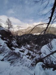 Uscita dal 4 tiro, sosta su albero caduto.