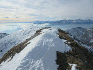 dalla punta Imperatoria verso sud con il Monviso in lontananza