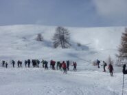 gruppo all'uscita del lariceto