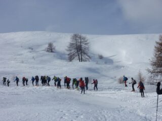gruppo all'uscita del lariceto