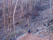 In discesa nel bosco completamente rinsecchito.