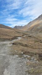 Strada reale