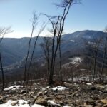 Verso Bormida ed il Settepani