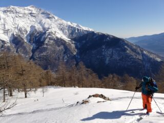 Vista sul Rocciamelone