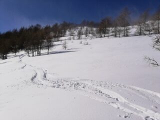 Ancora bella neve