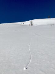 Parte bassa della salita
