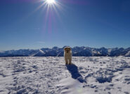 Bellissimo panorama su Marittime e Liguri dal Gorfi