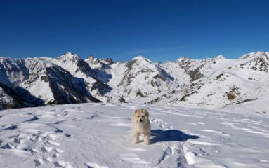 Buck sul Gorfi,in lontananza le cime dell'alto vallone dell'Arma