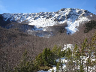 canalini ...molto magri