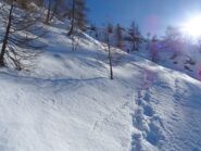 Discesa sul versante nord.