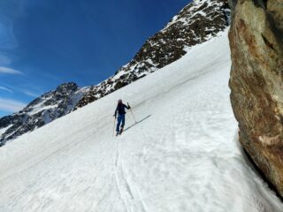 sul conoide