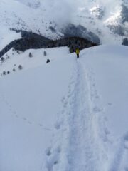 sul costone 