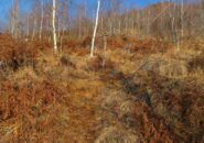 Bivio per il Monte Corno.