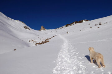In salita verso il colletto e Pera Puntua