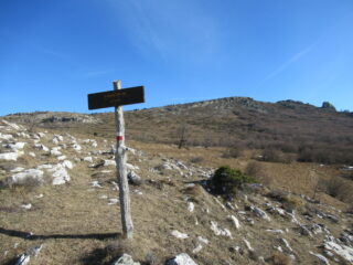 Monte Dubasso (m.1543) dal Passo