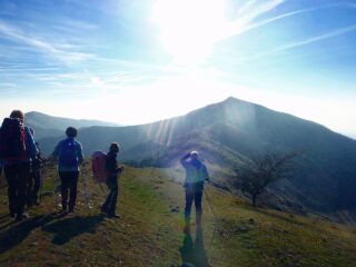 Il Pizzo d'Evigno dal Pizzo Moutin