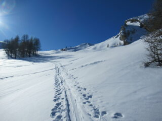 Ottima traccia verso il colletto