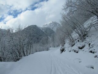 Verso San Bernolfo