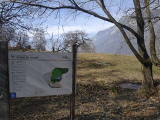 Riserva di Holay.
