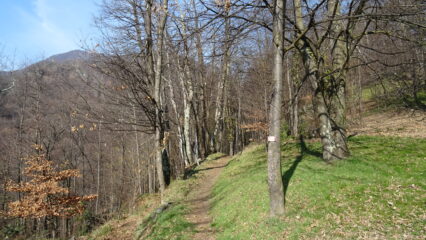 Inizio del 133 per i Tornetti