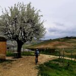 Si torna verso Roddi