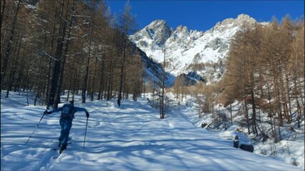 Nel bosco si inizia a tracciare.