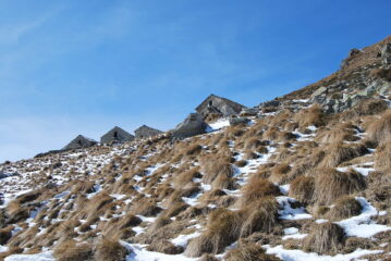 Quasi all’alpe Buscajun. La neve tra l’erba aumenta scivolate e fatica.