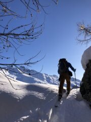 Si esce dal bosco.