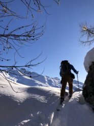 Si esce dal bosco.