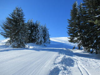Parte superiore delle piste.