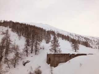 colletta Sellar