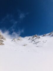 La rava in tutto il suo splendore