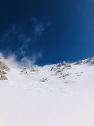 La rava in tutto il suo splendore