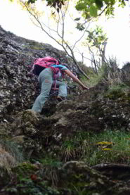 Roccette per arrivare in vetta al monte Gifarco