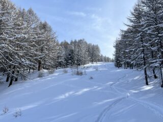Sul muretto della pista , il manto non copre tutto 