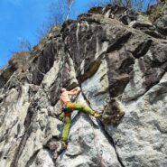 Candigina,7a+