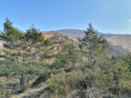 Termine pineta. Inizio ambiente di paglia e spuntoni rocciosi. Poco dopo ometto grande e bandelle di passaggio.