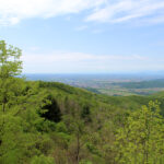 Panorama sulla pianura