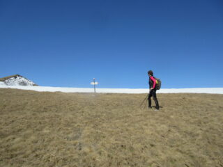 ripiani erbosi e Vandalino 