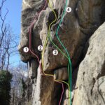 Topo Merenderos Trad particolare delle vie del pilastro di The Skull