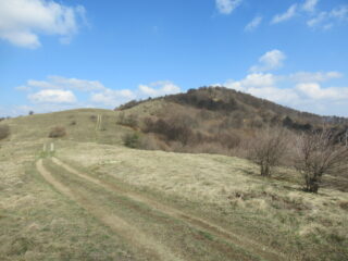 Salita su dorsale x Basson (m.1345)