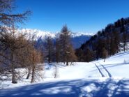 Bei pendii innevati (quasi) intonsi.