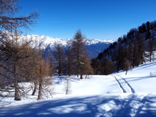 Bei pendii innevati (quasi) intonsi.