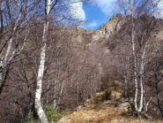 Un tratto di sentiero dopo Lievanere.