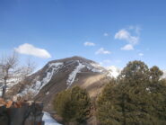 condizioni dorsale dal basso