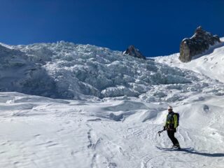 seraccata del requin