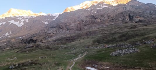 tanti locali già al pascolo alle 7 del mattino