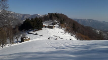 il colletto..